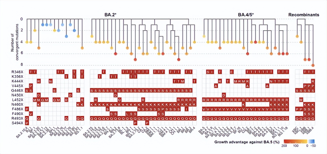 自然科学领域的中国人物,自然科学年度人物