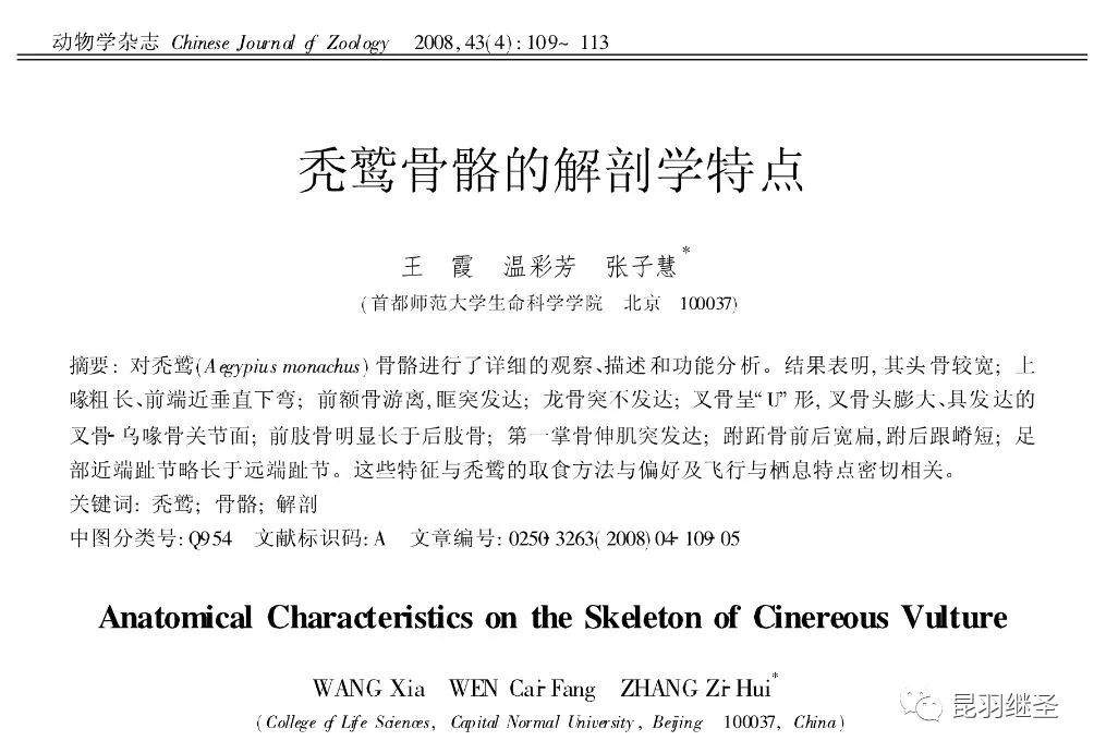 扒一扒西方历史,扒一扒张大千的画皮