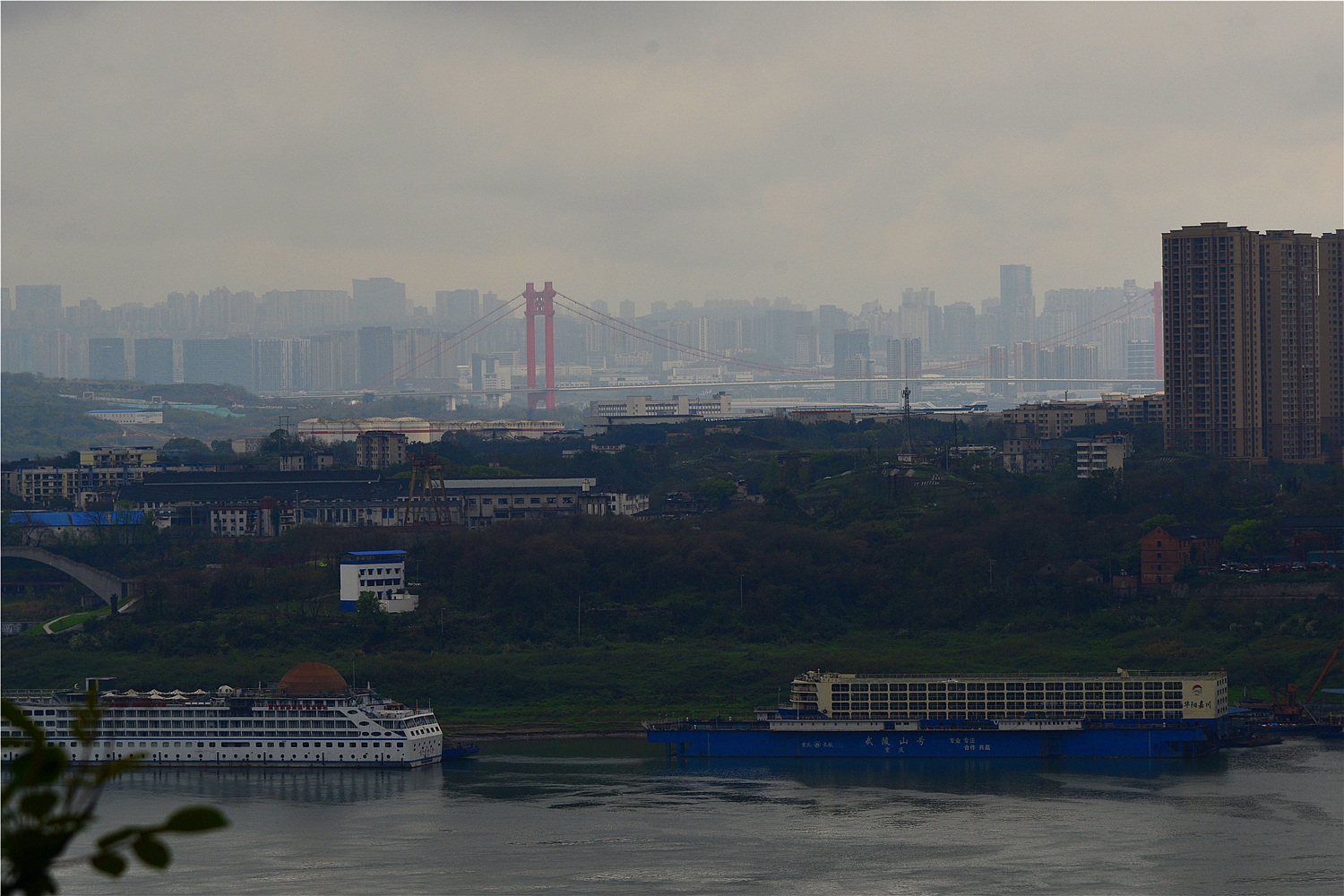 【重庆影像376】·铁山坪森林公园（202302）