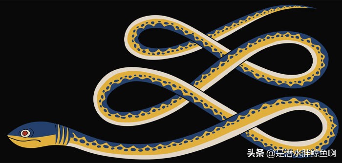 关于世界各地神兽排行榜,世界上所有的最强神兽