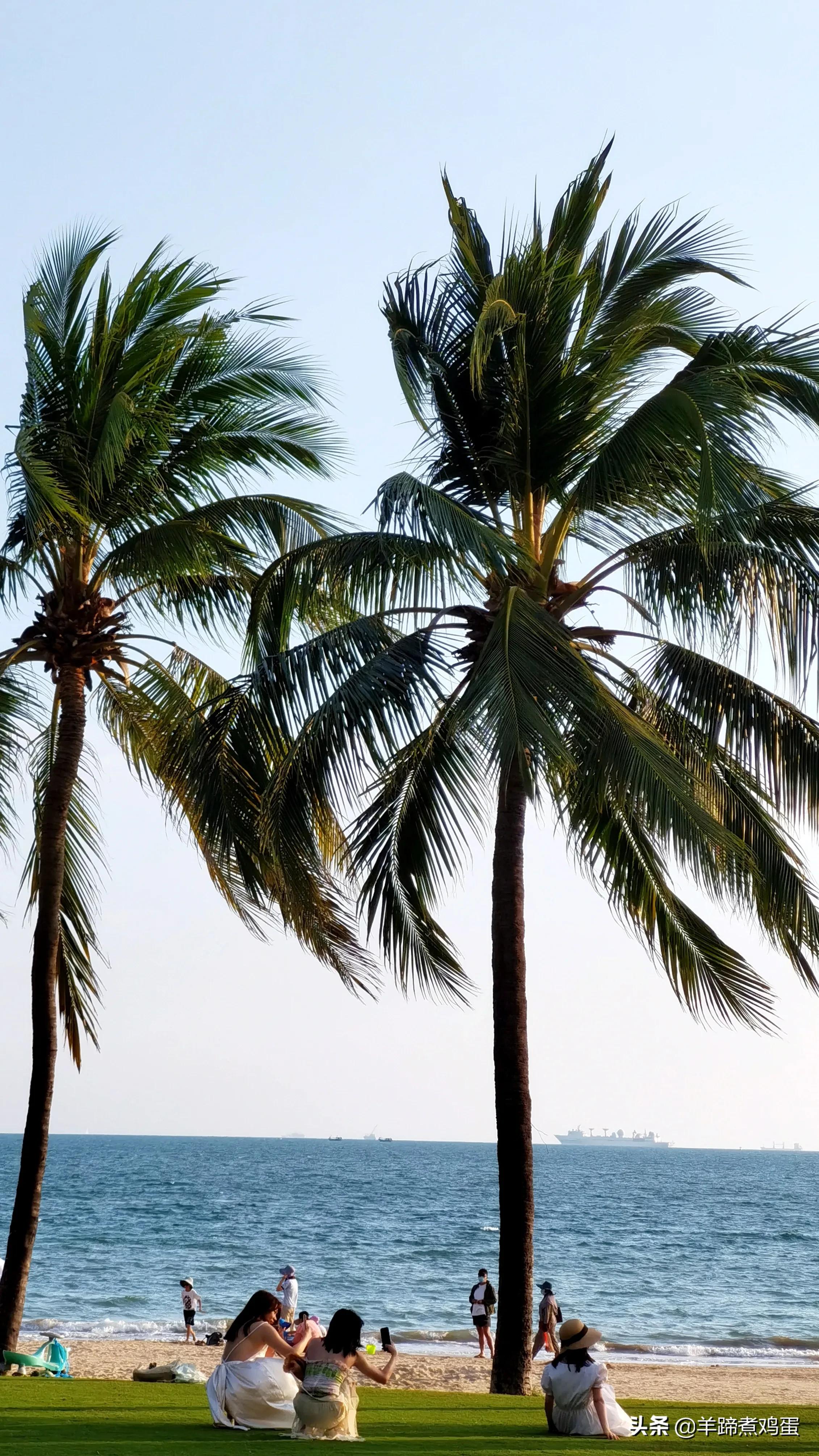 三亚椰梦长廊日落绝美,三亚湾椰梦长廊看夕阳最佳观赏点