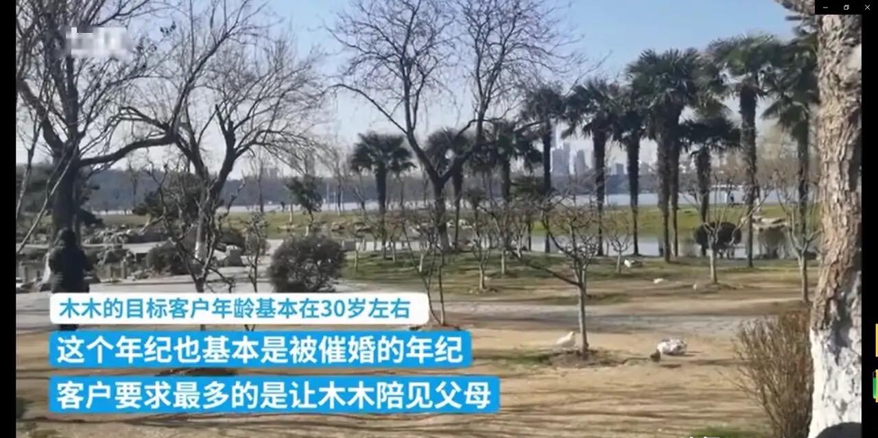 “日租女友”1000块一天，服务项目花样百出，行业内幕到底多乱？