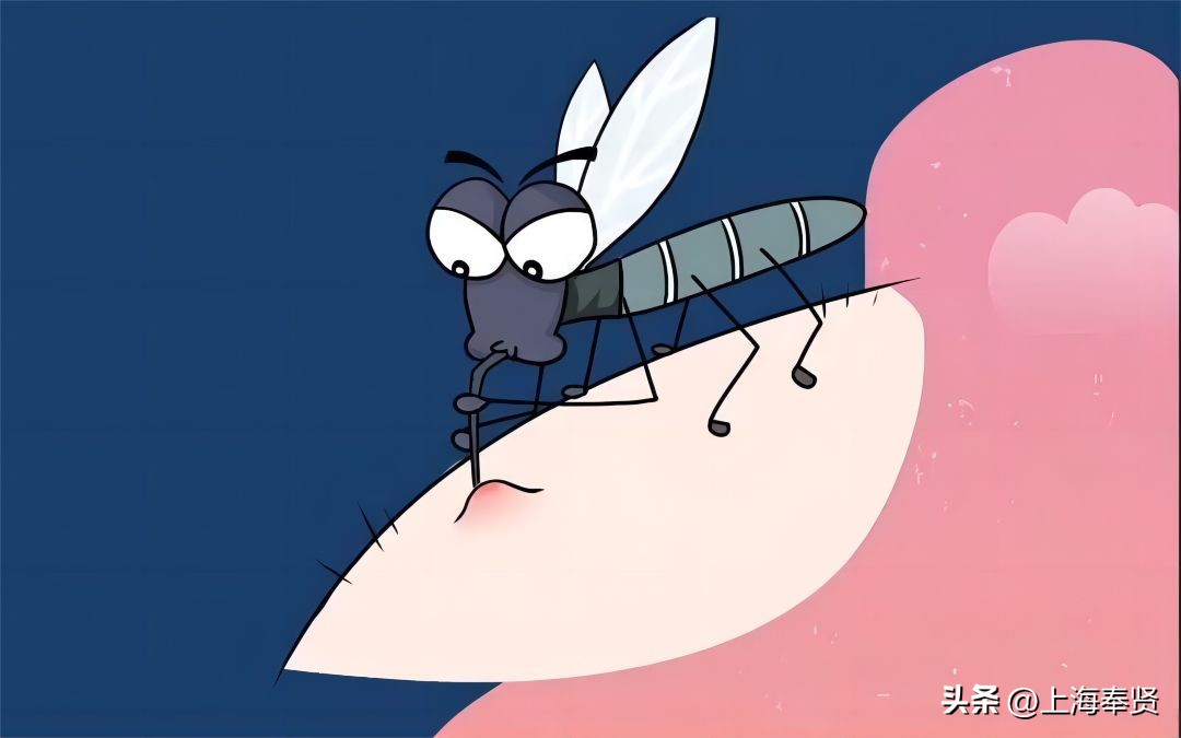 夏天虫咬皮炎的治疗方法,虫咬性皮炎到底如何杀虫