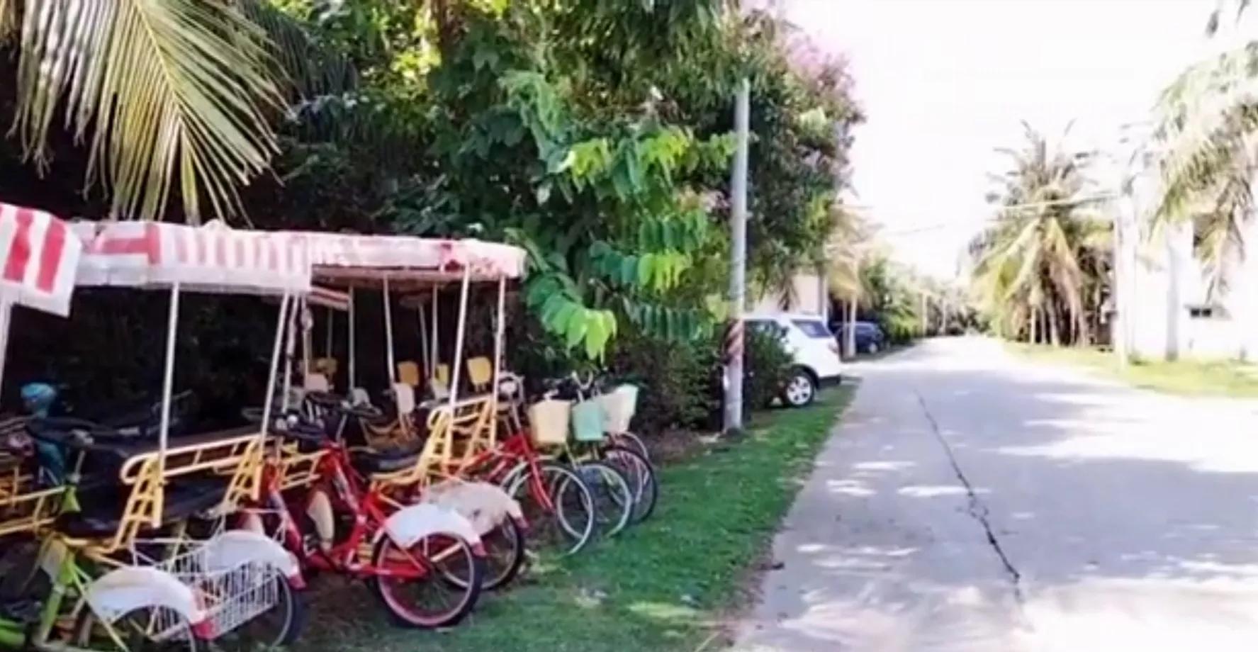 遇见最美的湛江,湛江特呈岛之旅
