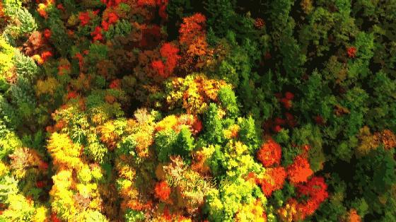 中国最宜居的县城100强排名,中国最适合旅游的十大小城