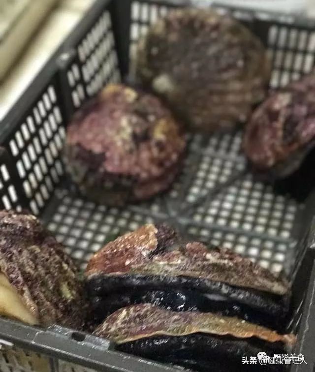 世界顶级海鲜食材,世界顶级的海鲜视频