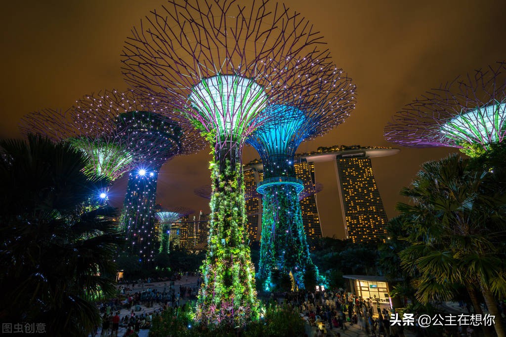 新加坡7个冷知识英文,世界上养猫最多的国家