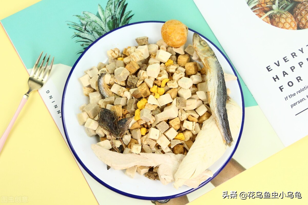 买的小乌龟应该喂什么吃,小乌龟吃什么更合适