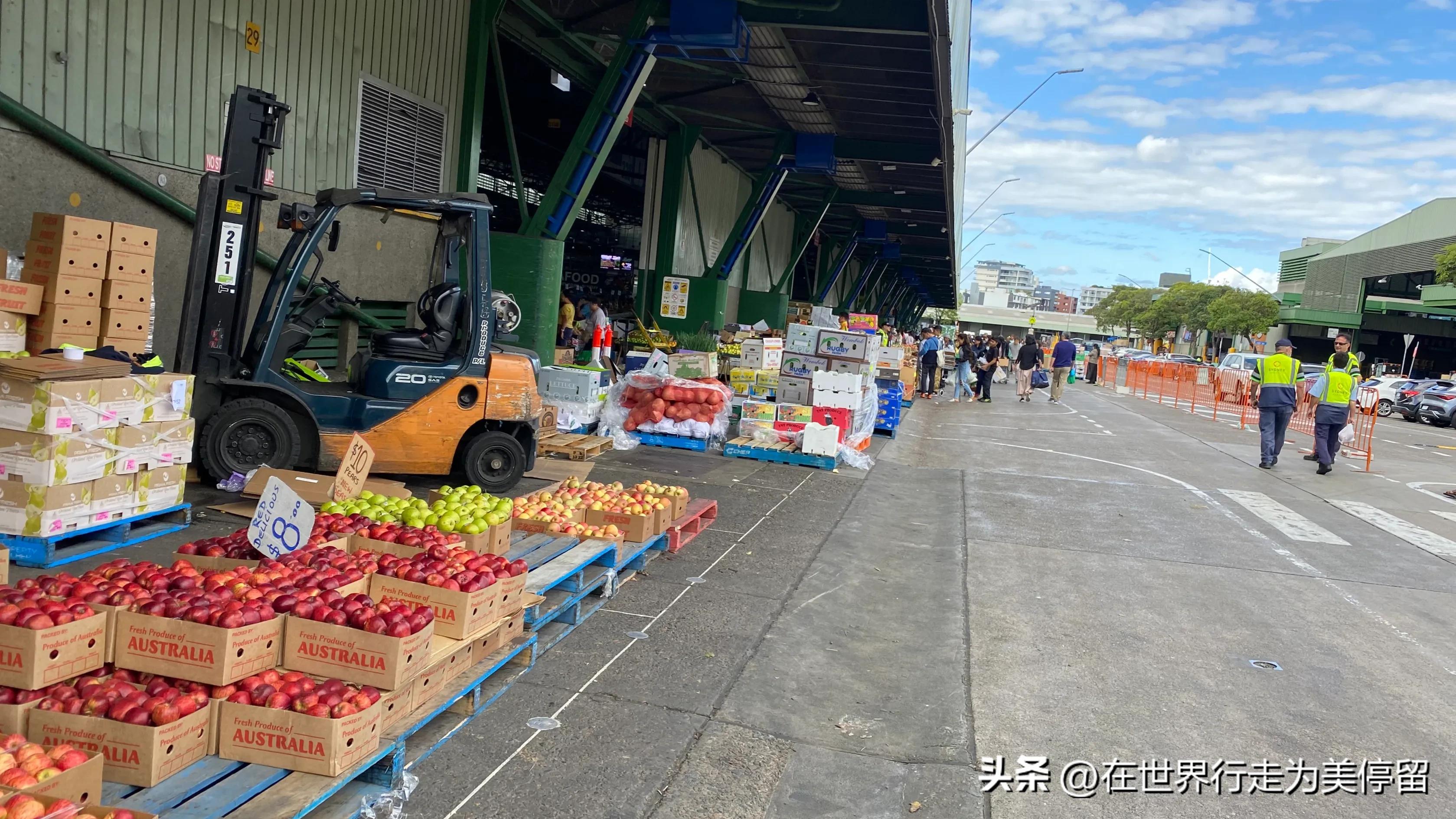 悉尼最大的蔬菜批发市场,悉尼蔬菜市场
