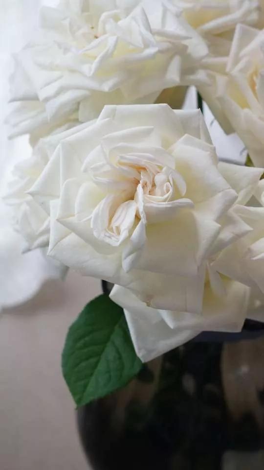 岁月斑驳留下来的都是静好时光,岁月斑驳愿时光静好