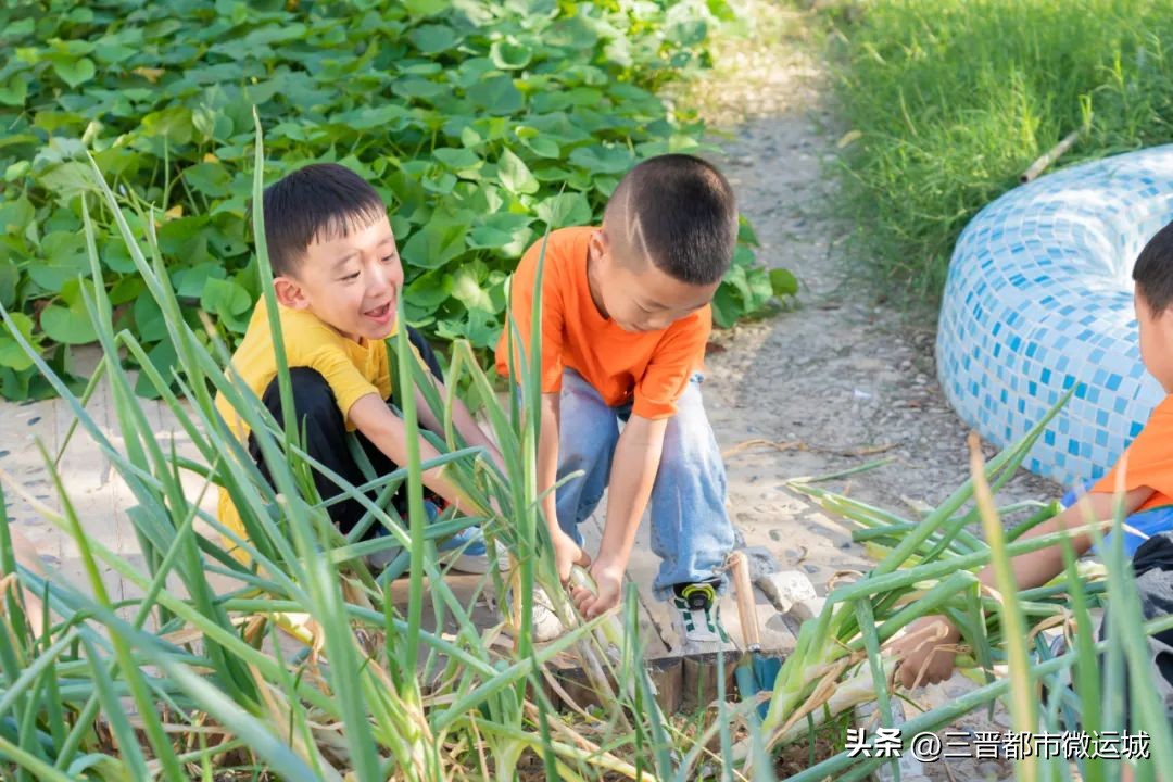 秋光如岁邂逅一场欢喜——临猗县直一园开学季