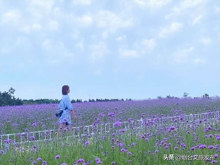 金沙滩攻略从早到晚,金沙滩必打卡