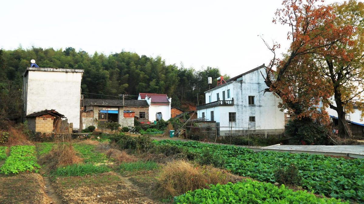 疫情期间回家看到的视频,疫情回家看爷爷奶奶