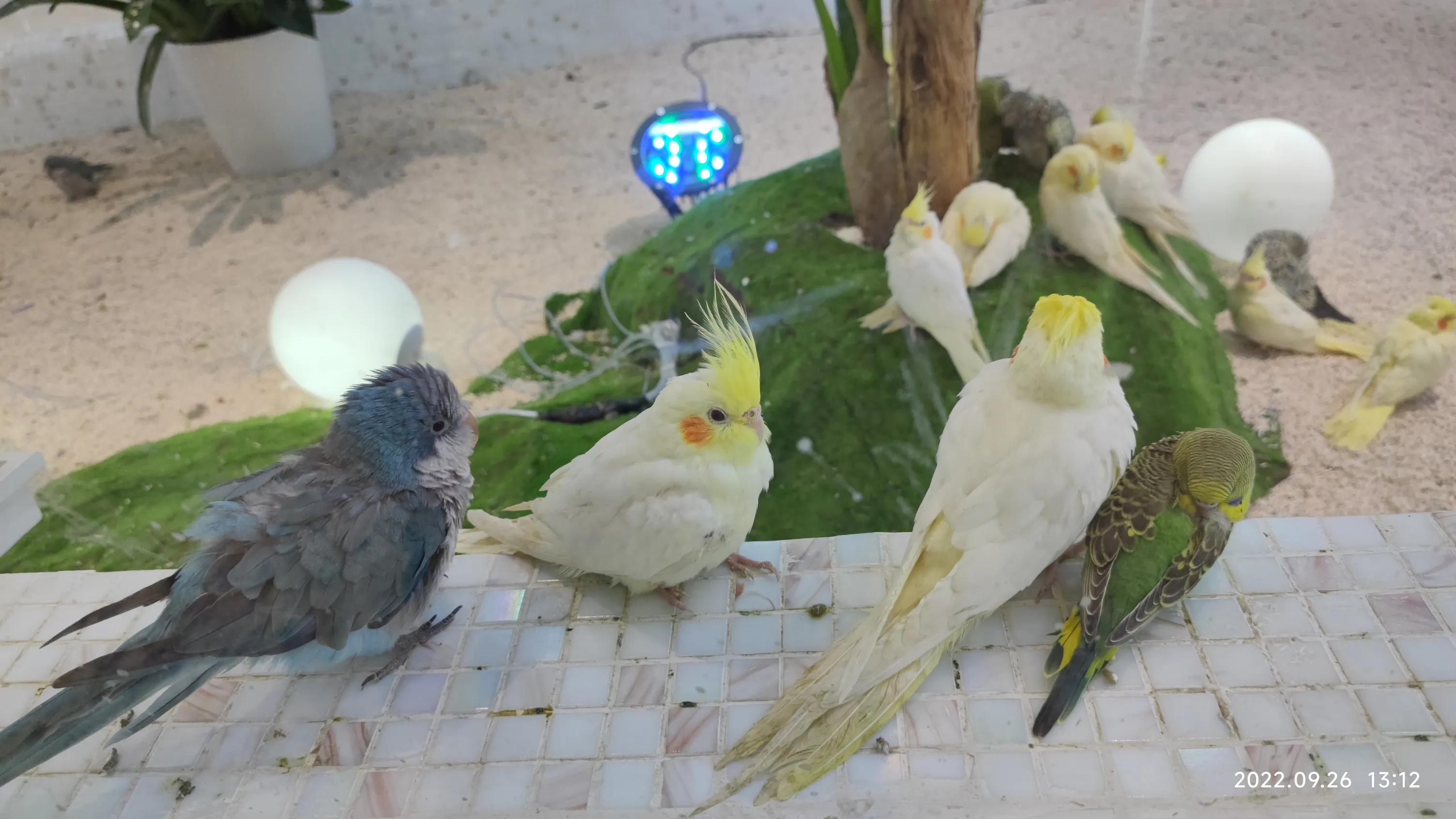 杉杉奥特莱斯和商场区别,深圳松岗杉杉奥特莱斯体验