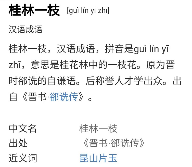 惨绿少年的解释,惨绿少年的含义