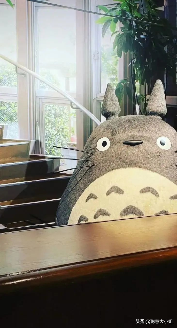 宫崎骏三鹰美术馆完整版,三鹰之森宫崎骏第二弹图鉴