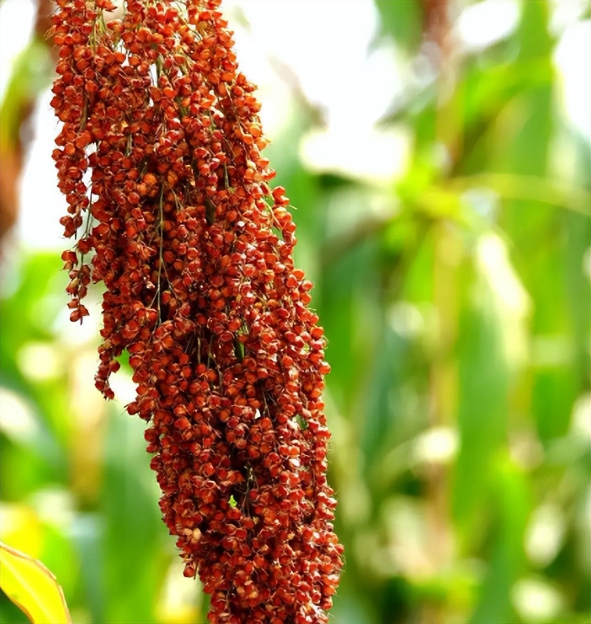 15万想开烟酒店有什么门道,大街上的烟酒店