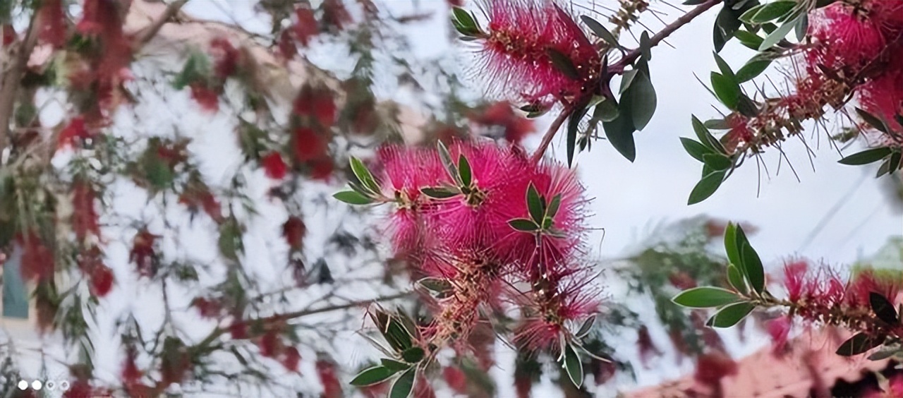 赣州市凤溪谷漂流景区,信丰风溪谷漂流