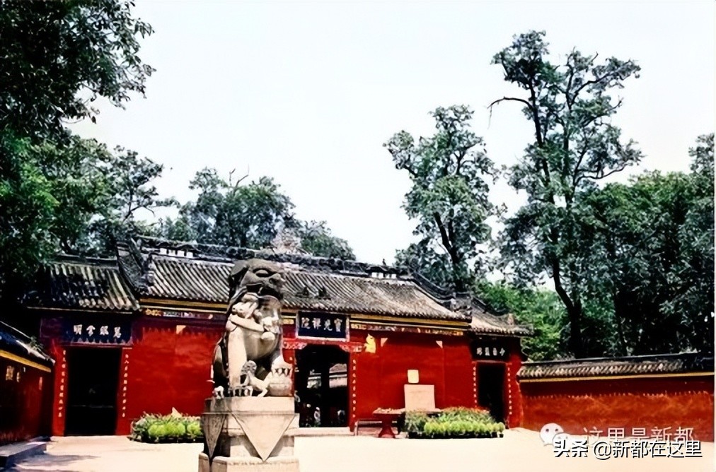 如果城市有颜色重庆,如果城市有颜色作文