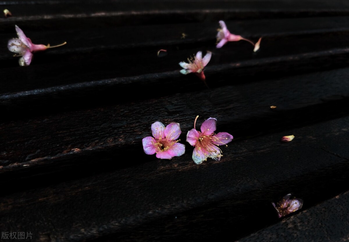 水瓶座长情且深情,水瓶座的深情与无情