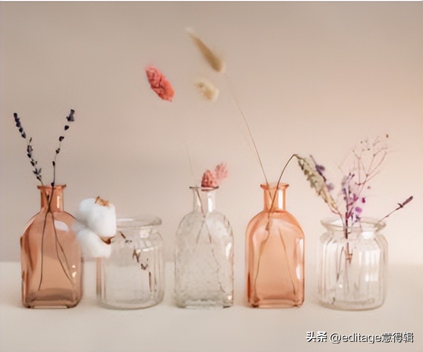 editage意得辑,editage