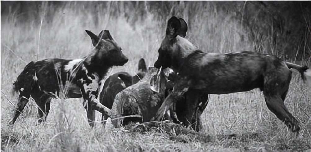 供应链管理：高成本、高库存、重资产的解决方案刘宝红第一篇