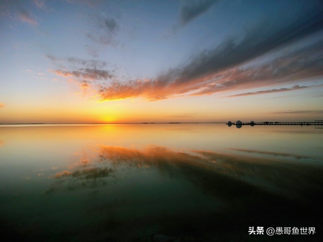 青海湟鱼那么多为什么要保护,救命的青海湖湟鱼