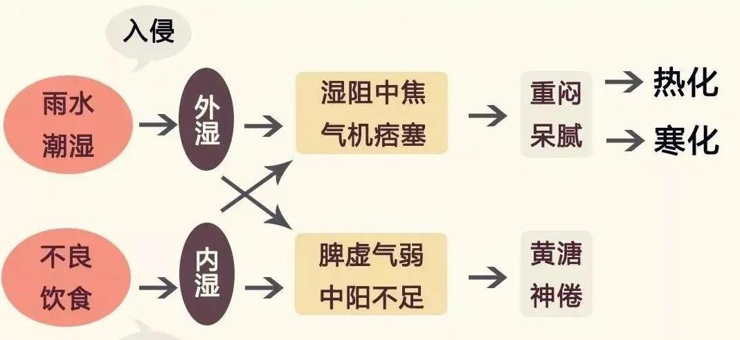 儿童因脾虚引起肥胖吃什么药,儿童肥胖调理脾胃的中成药