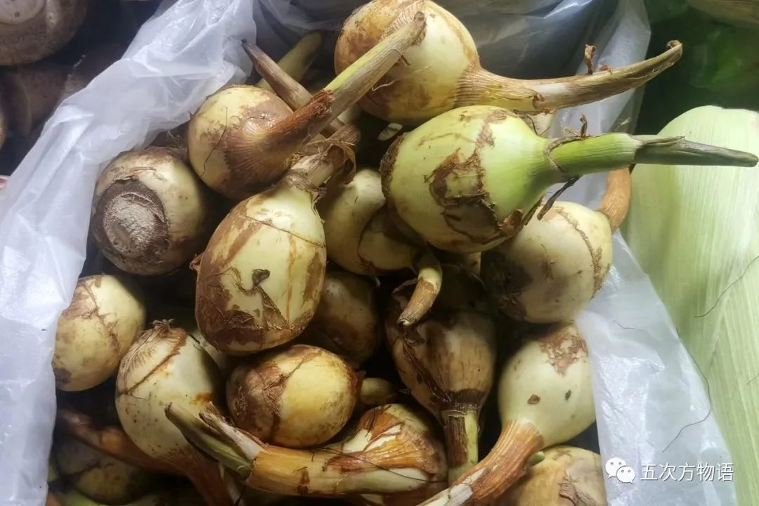 茎菜类蔬菜大全，你全吃过吗？