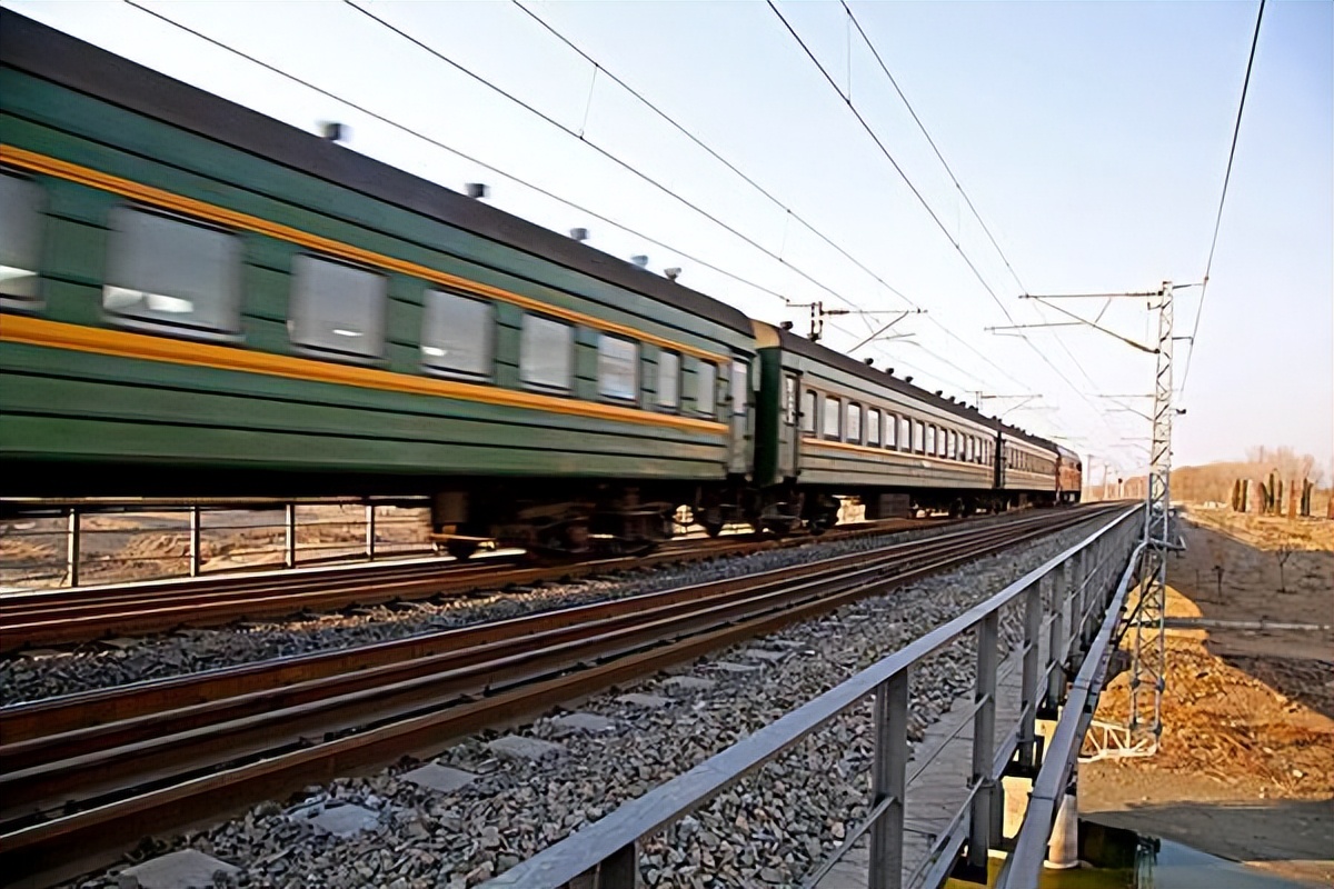 宠物托运怎么打开笼子,宠物托运需要准备什么证件和行李