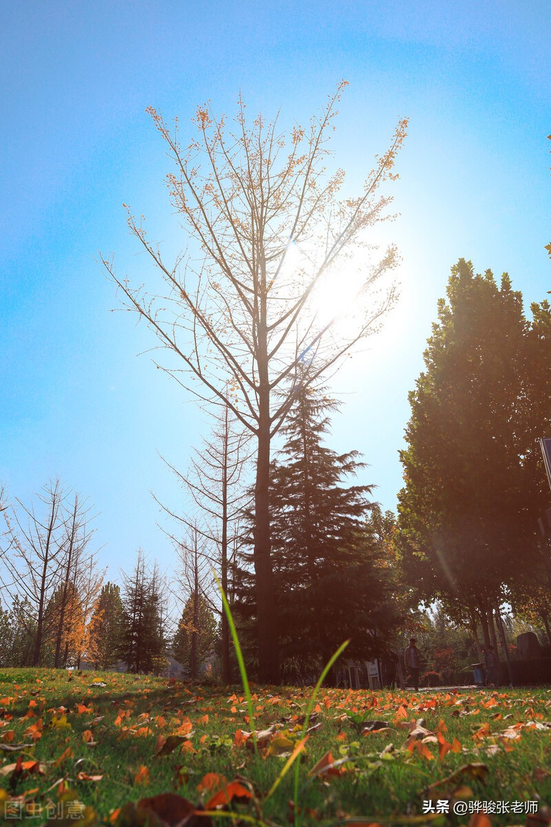 铁路专科中的小清华,铁路专科院校小清华