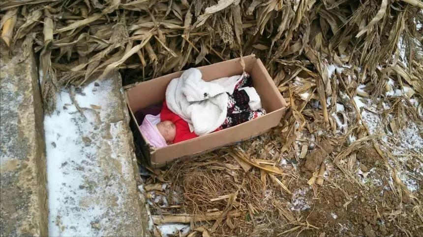 洪战辉12岁独自撑起家庭,洪战辉扛着废品上了火车