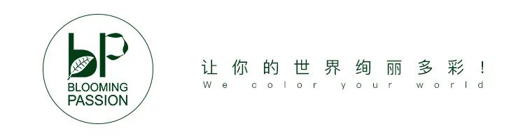 比较鲜又好养的月季品种,最值得养的大花浓香月季品种