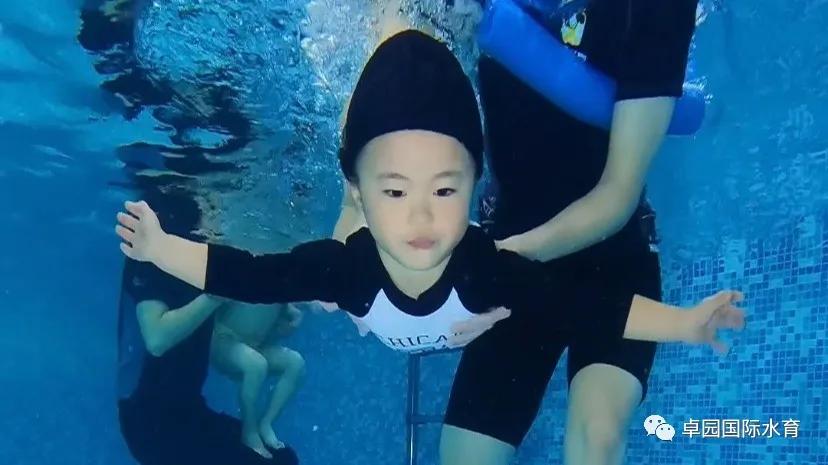 水育早教赚钱吗,水育早教利润怎么样