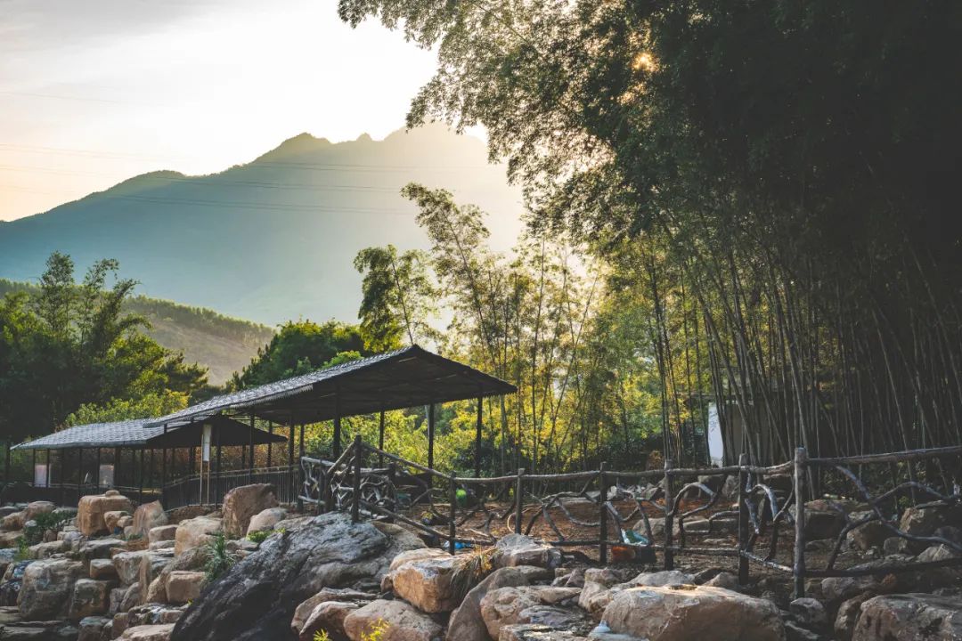 閲戠鍗佹湀鍥藉簡涓鍋囨湡浣忓鏀荤暐,閲戠涔嬬害