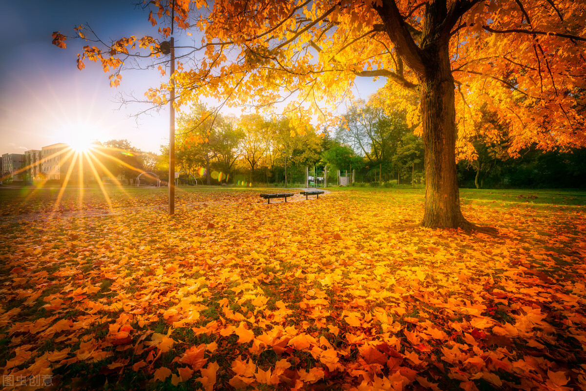 遇事要懂得变通的名言,给遇事就着急的人的四字忠告