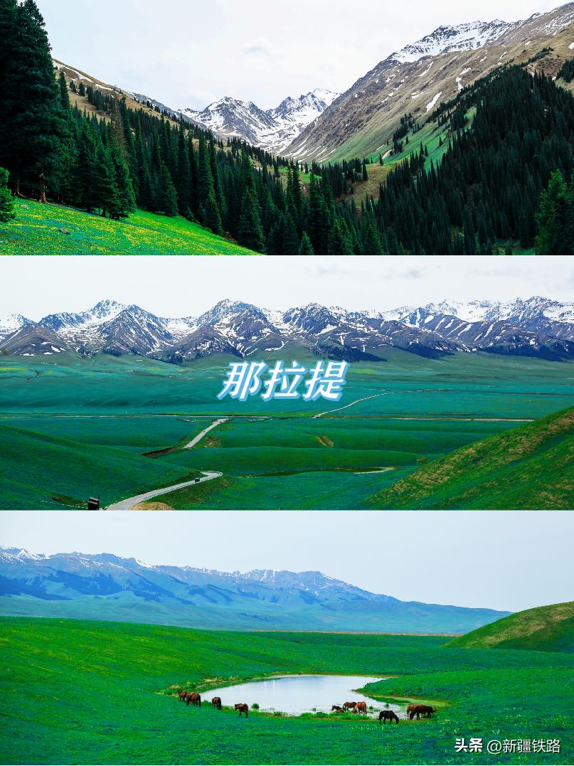 天山号旅游专列怎么玩,坐火车游新疆昆仑号