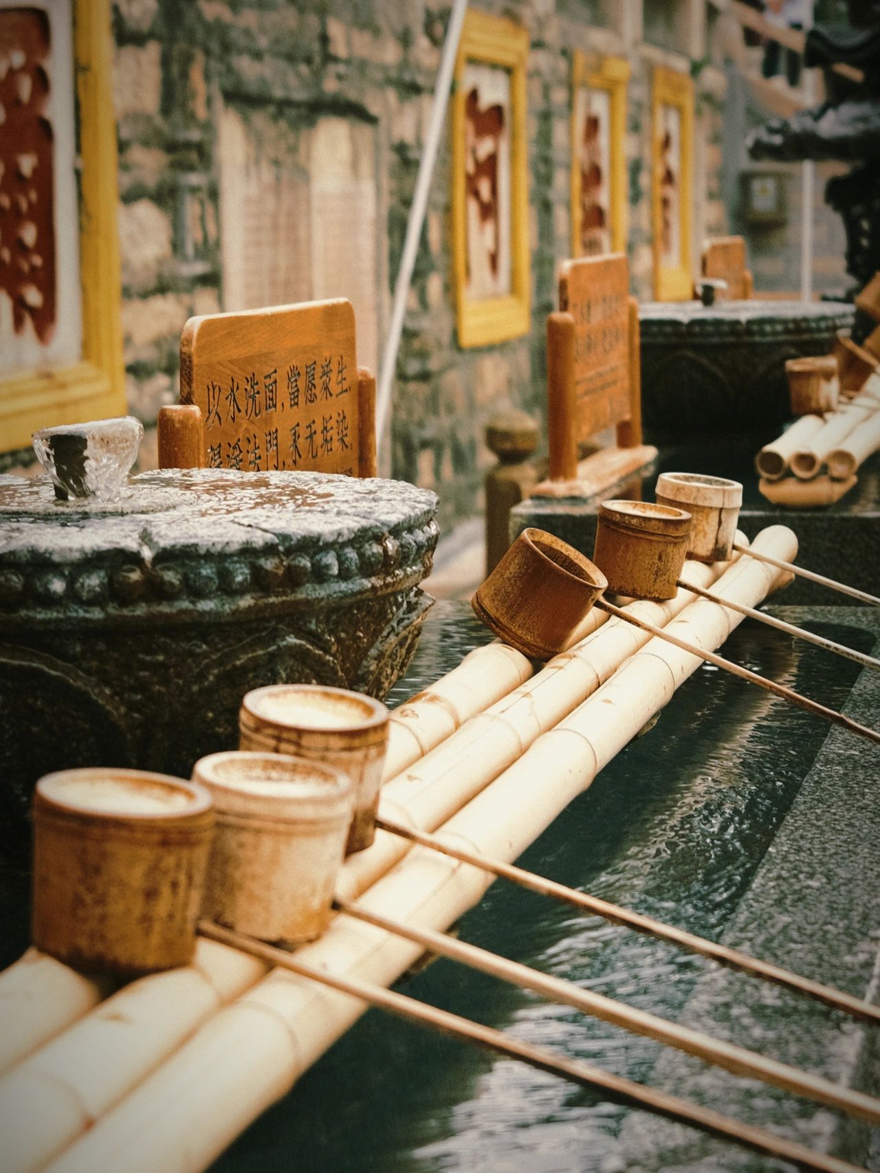 冬季厦门旅行攻略,厦门四天三夜攻略