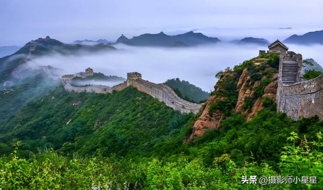 夏天绿色之美,夏天的绿色之美