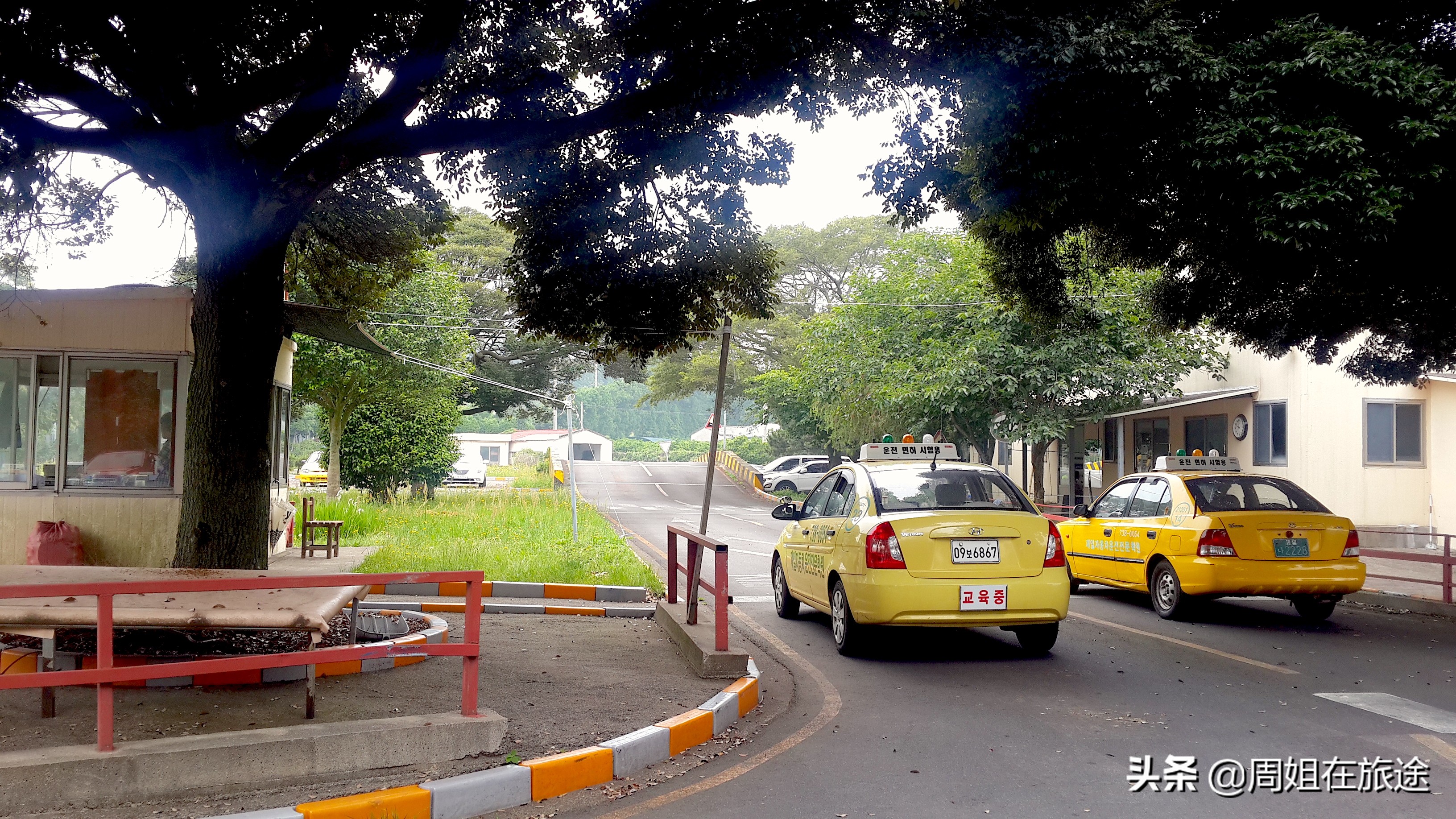 一个人跑去国外旅游，用5天时间考了一个驾照回来，国内能用吗