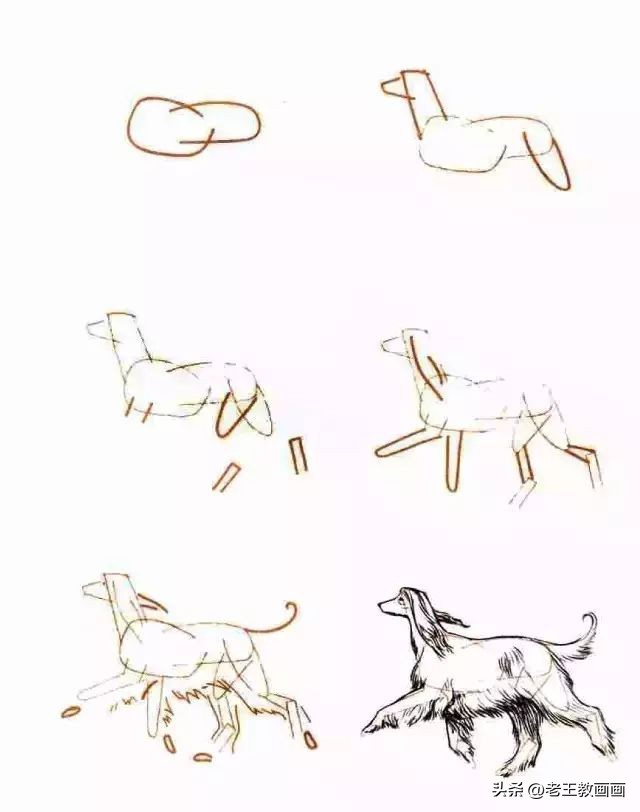 简单易学的简笔画学起来教孩子吧,二分钟教会孩子简笔画赶紧学起来