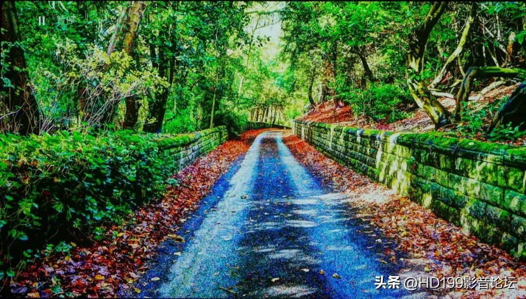 MAGNETARUDP8004K蓝光*放播**器开箱