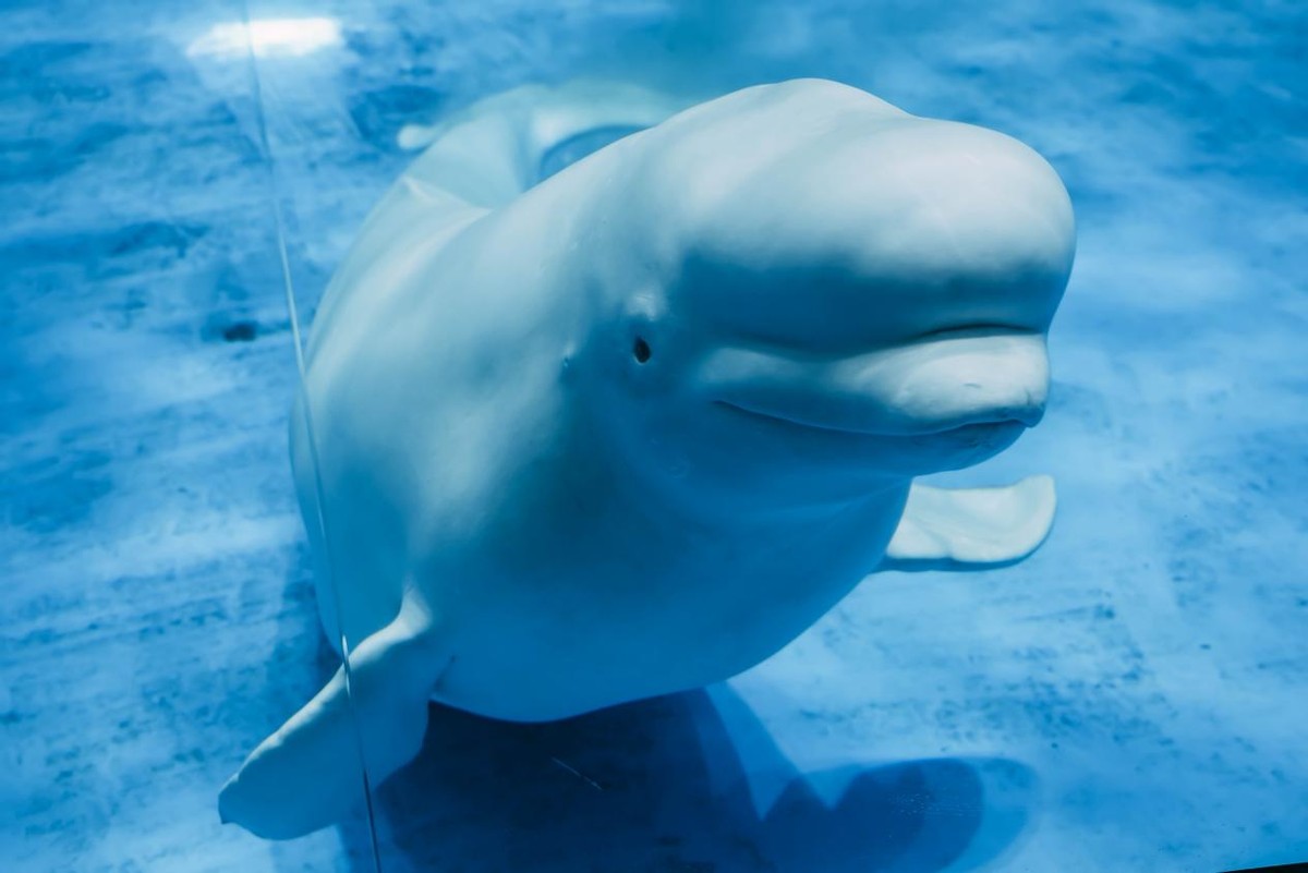 炎炎夏日，踏浪而来，赶赴一场和海南的约“惠”