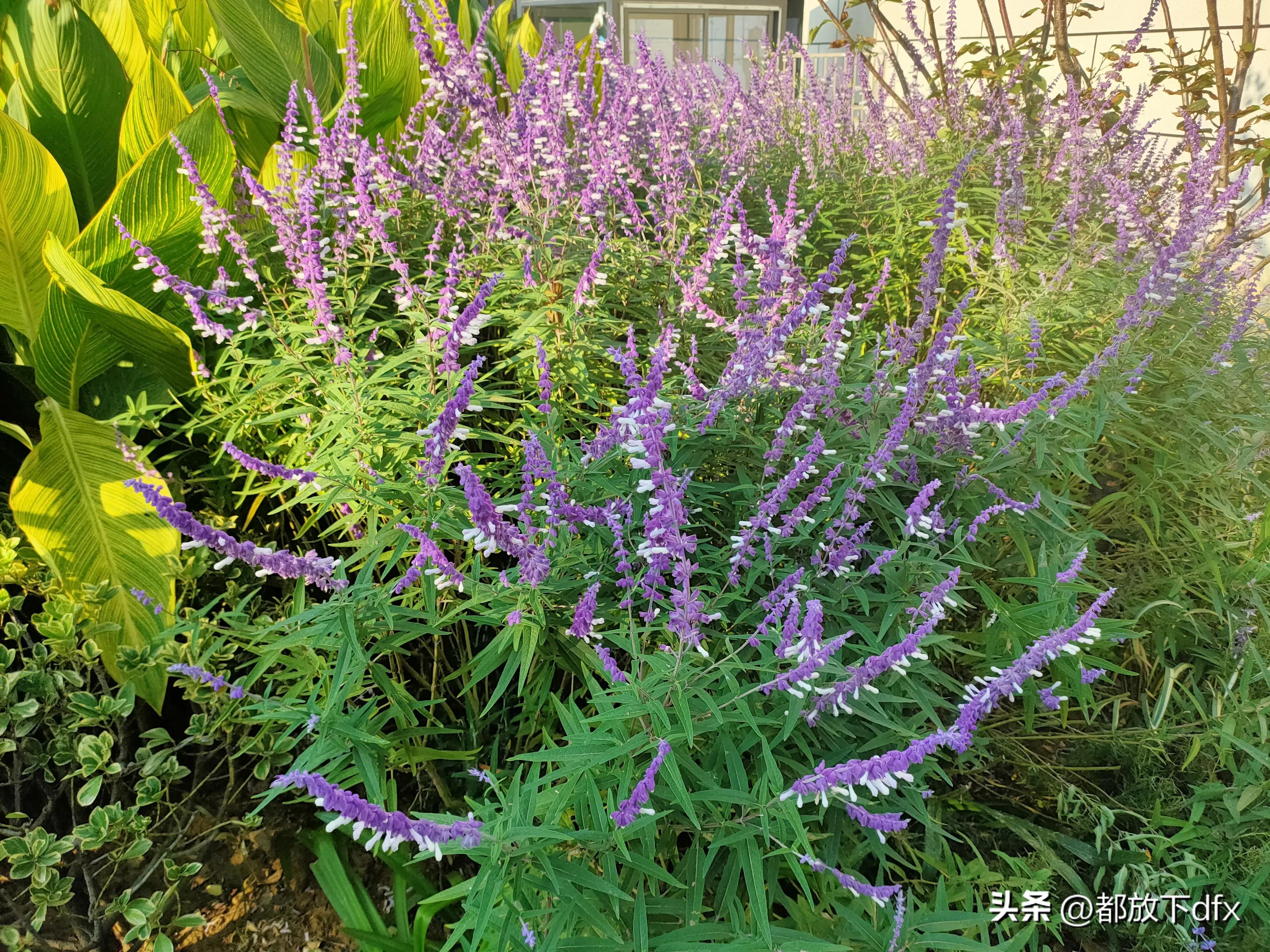 分道扬镳,各走各的路,也挺好的