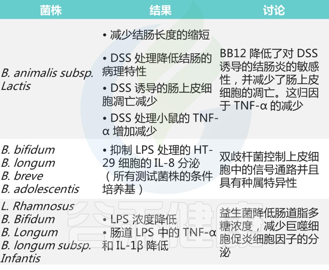 双歧杆菌属于肠道什么菌,双歧杆菌肠道功能会更好