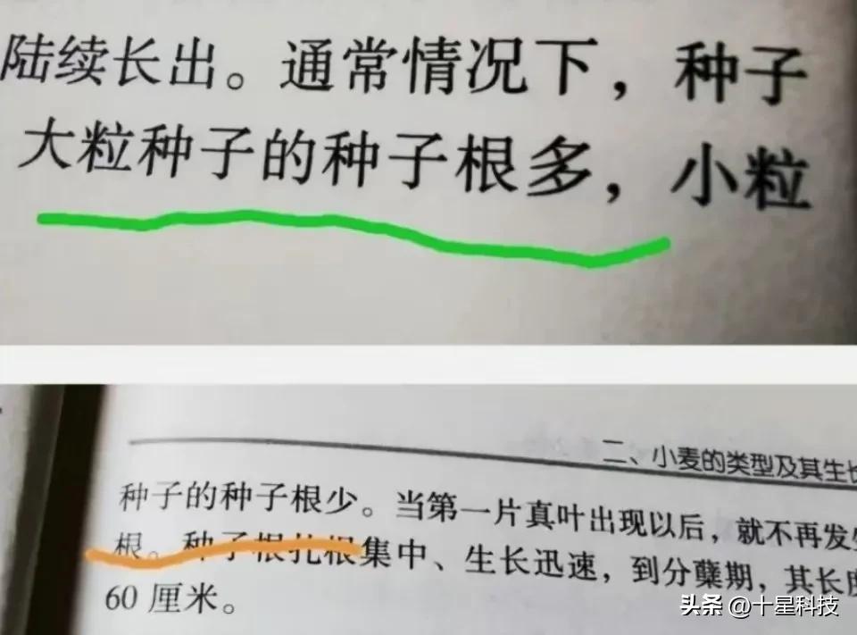 让农民的粮食能卖上好价钱,让农民的农产品卖出去