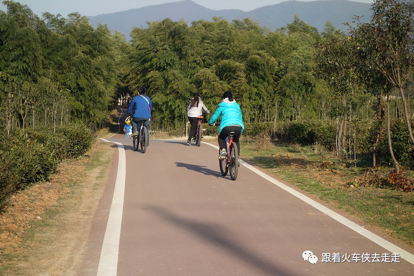宜兴小镇的深氧之旅——张渚镇龙池山自行车公园