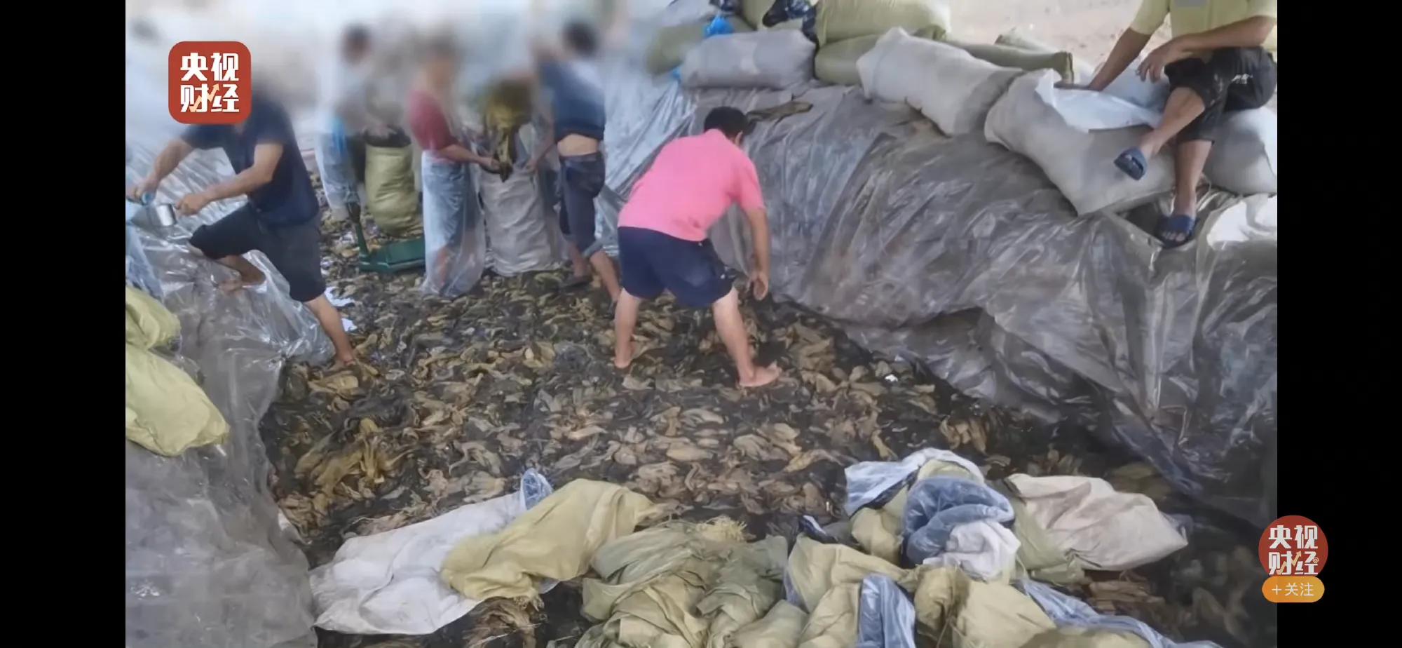 315主播打假视频完整版,315打假晚会经典节目