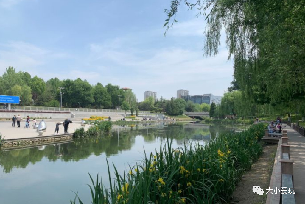 滨河公园带娃玩水,推荐一个好地方滨河公园