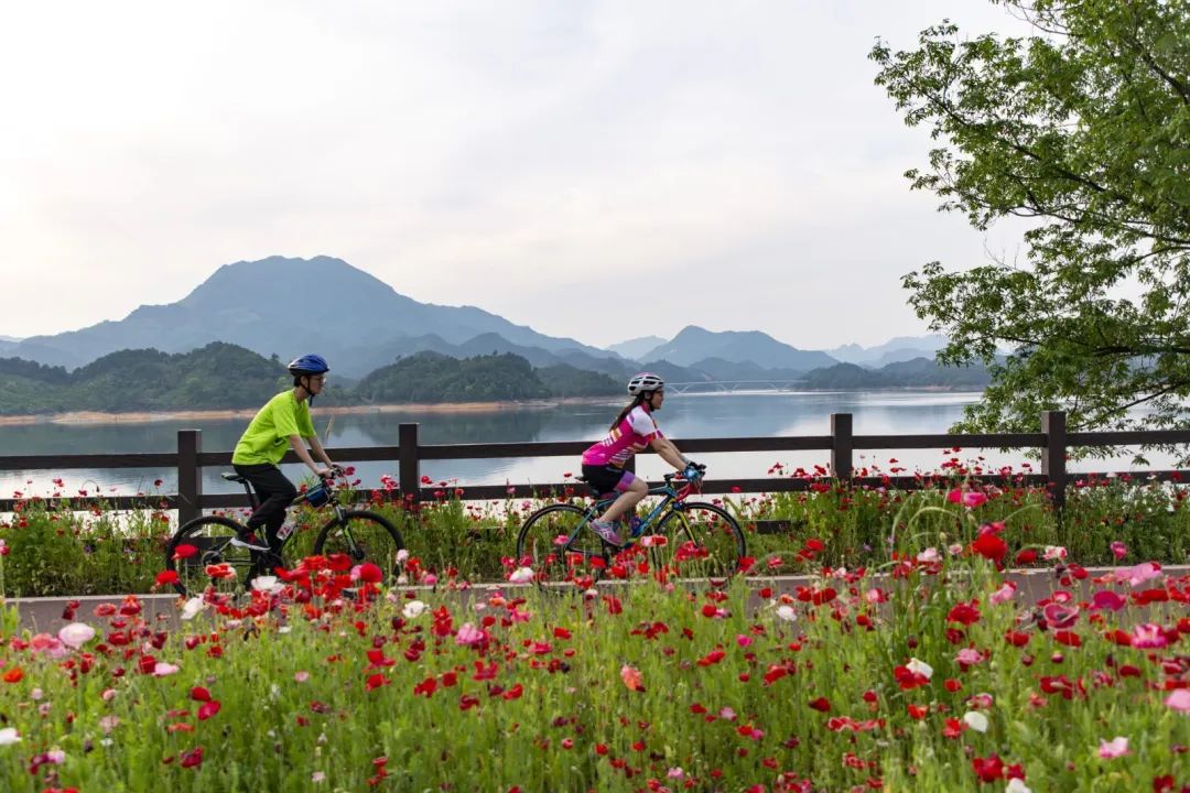 春暖花开时正是游湖赏花季,千岛湖四月赏花季节
